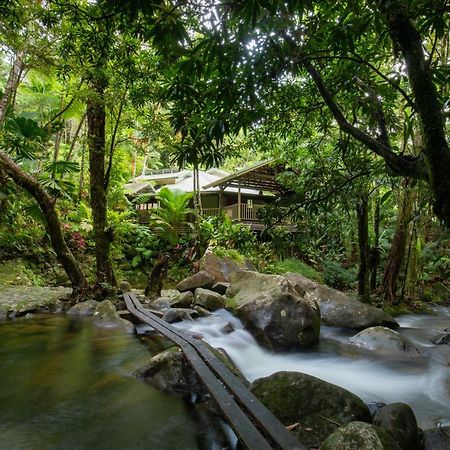 Daintree Secrets Rainforest Sanctuary Villa Diwan Exterior photo