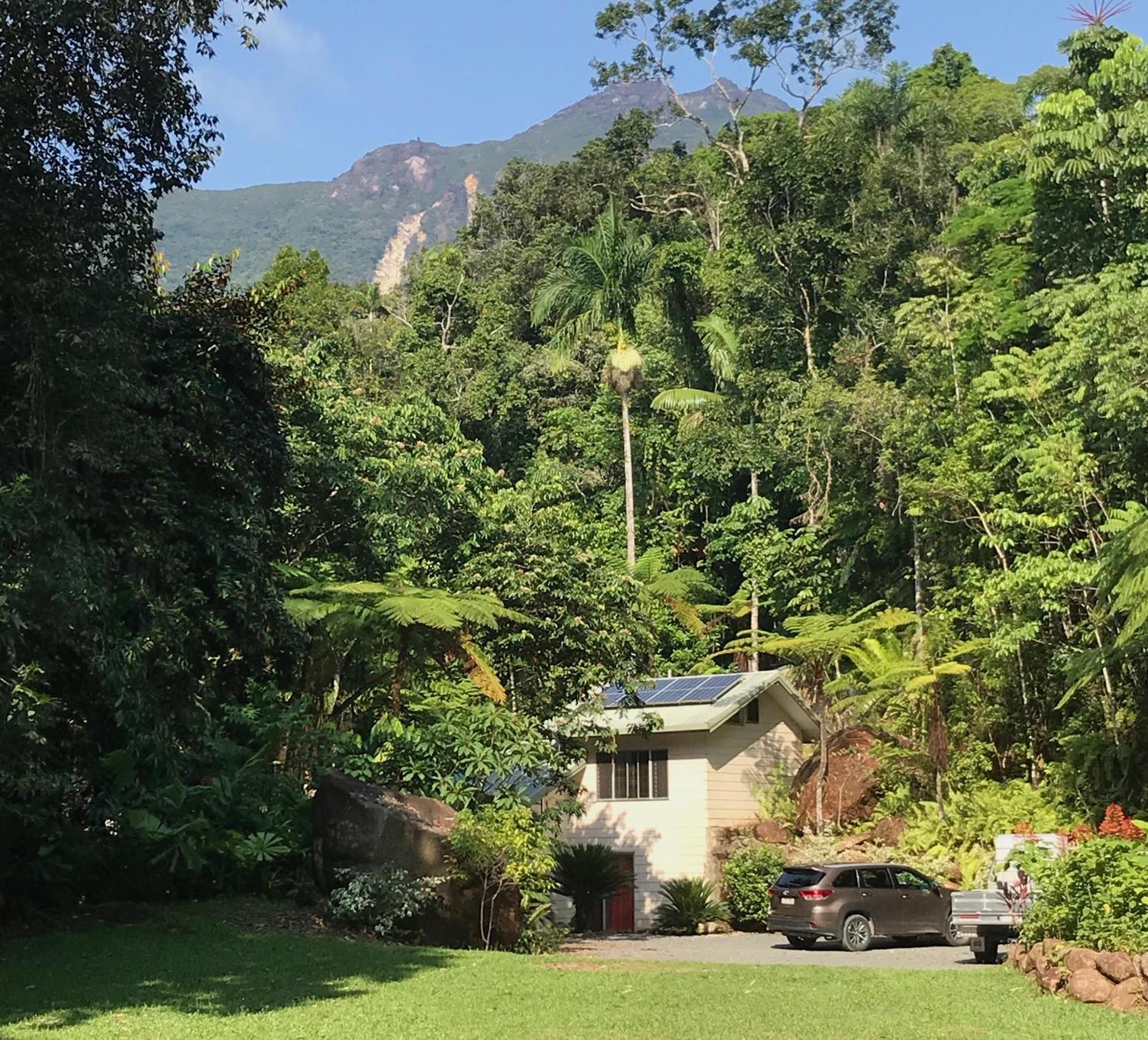 Daintree Secrets Rainforest Sanctuary Villa Diwan Exterior photo