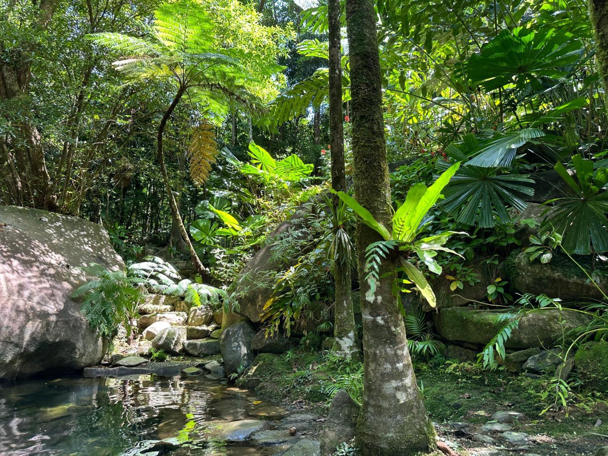 Daintree Secrets Rainforest Sanctuary Villa Diwan Exterior photo