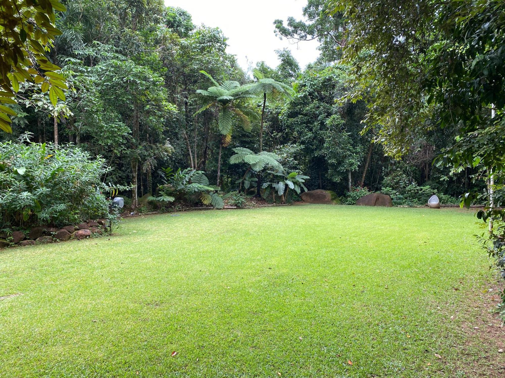 Daintree Secrets Rainforest Sanctuary Villa Diwan Exterior photo