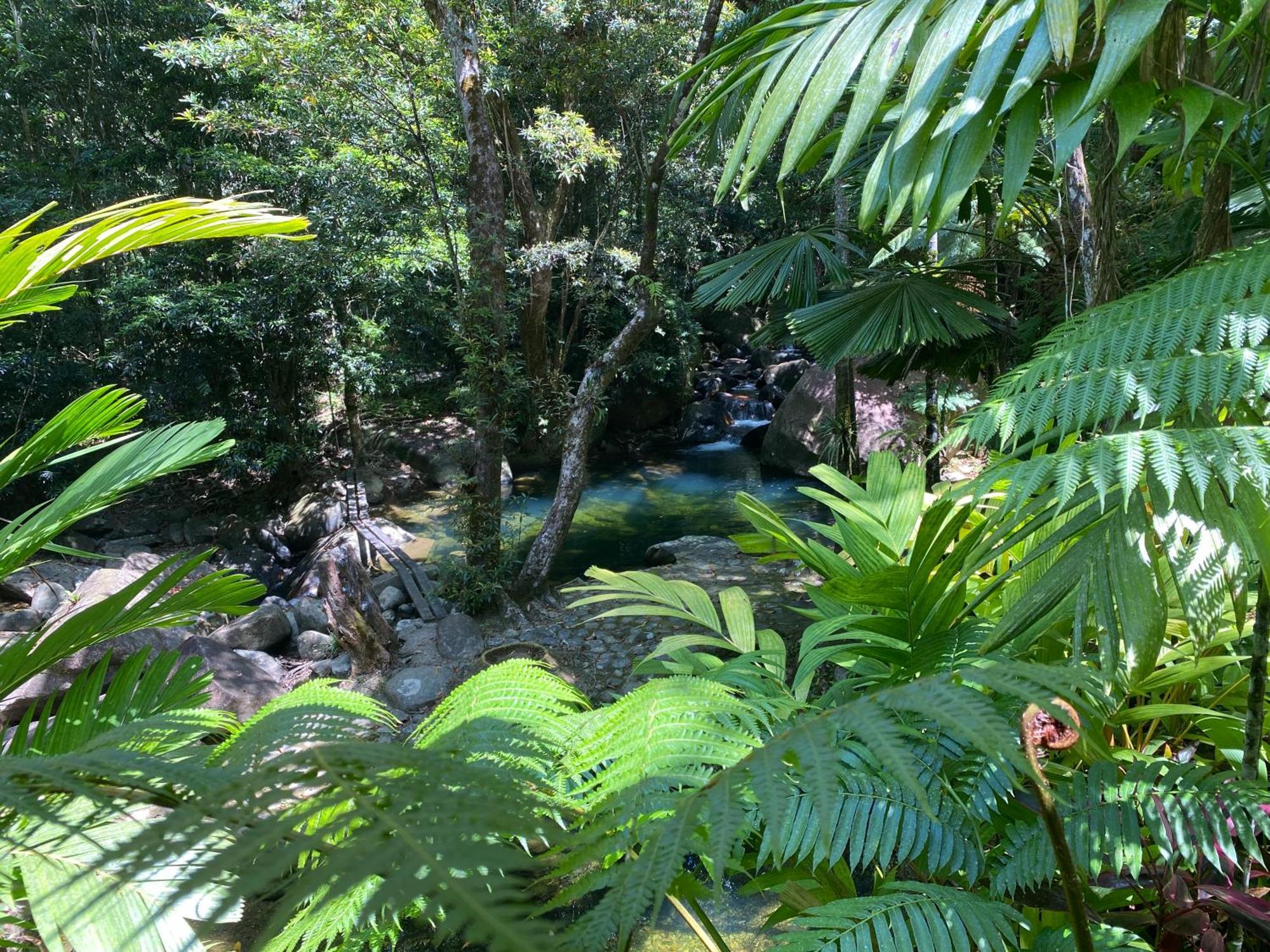 Daintree Secrets Rainforest Sanctuary Villa Diwan Exterior photo