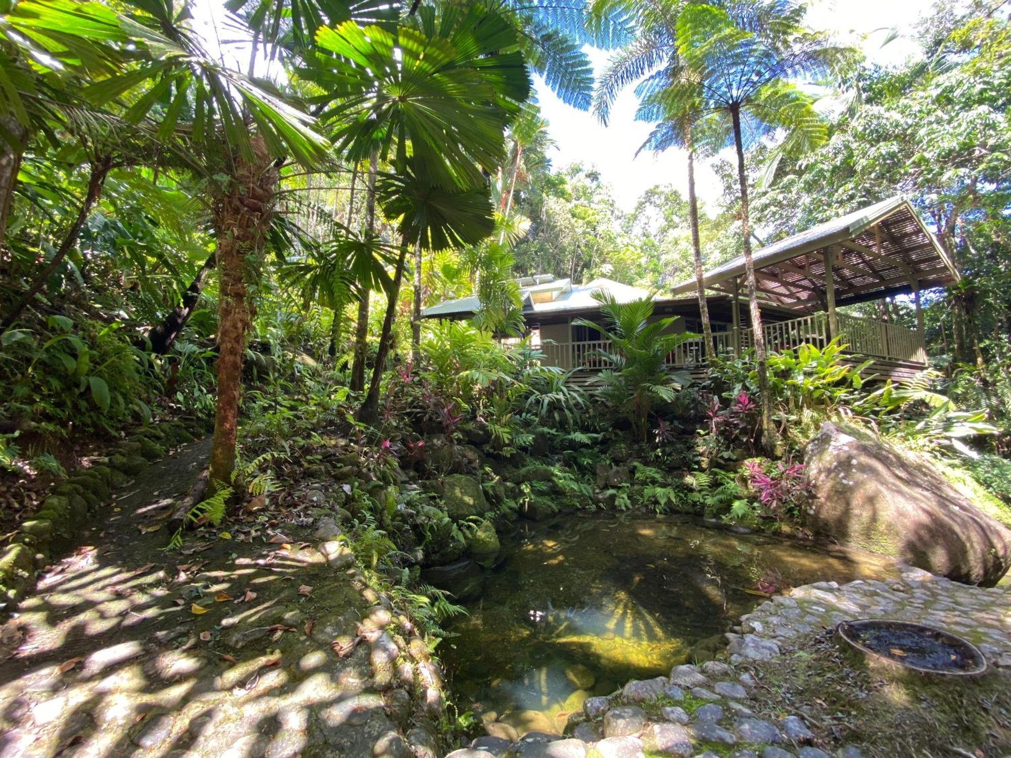 Daintree Secrets Rainforest Sanctuary Villa Diwan Exterior photo