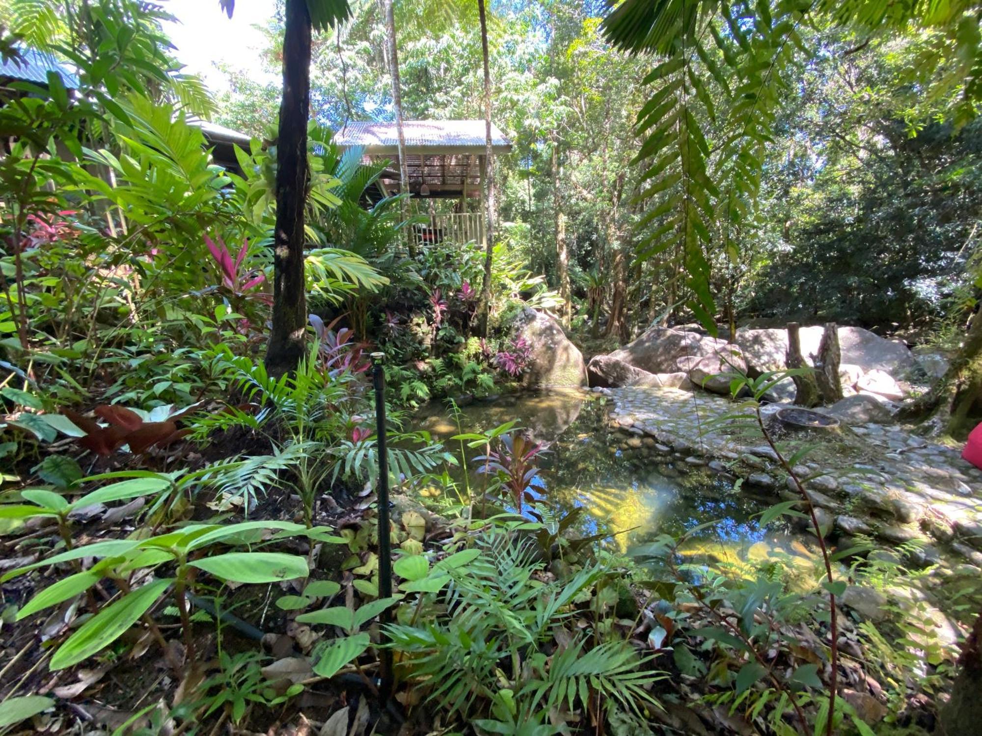 Daintree Secrets Rainforest Sanctuary Villa Diwan Exterior photo