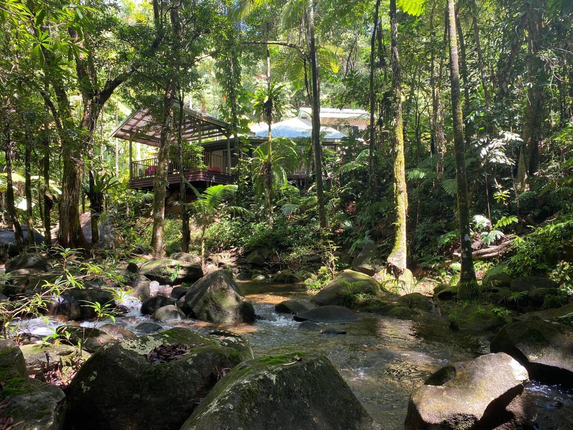 Daintree Secrets Rainforest Sanctuary Villa Diwan Exterior photo