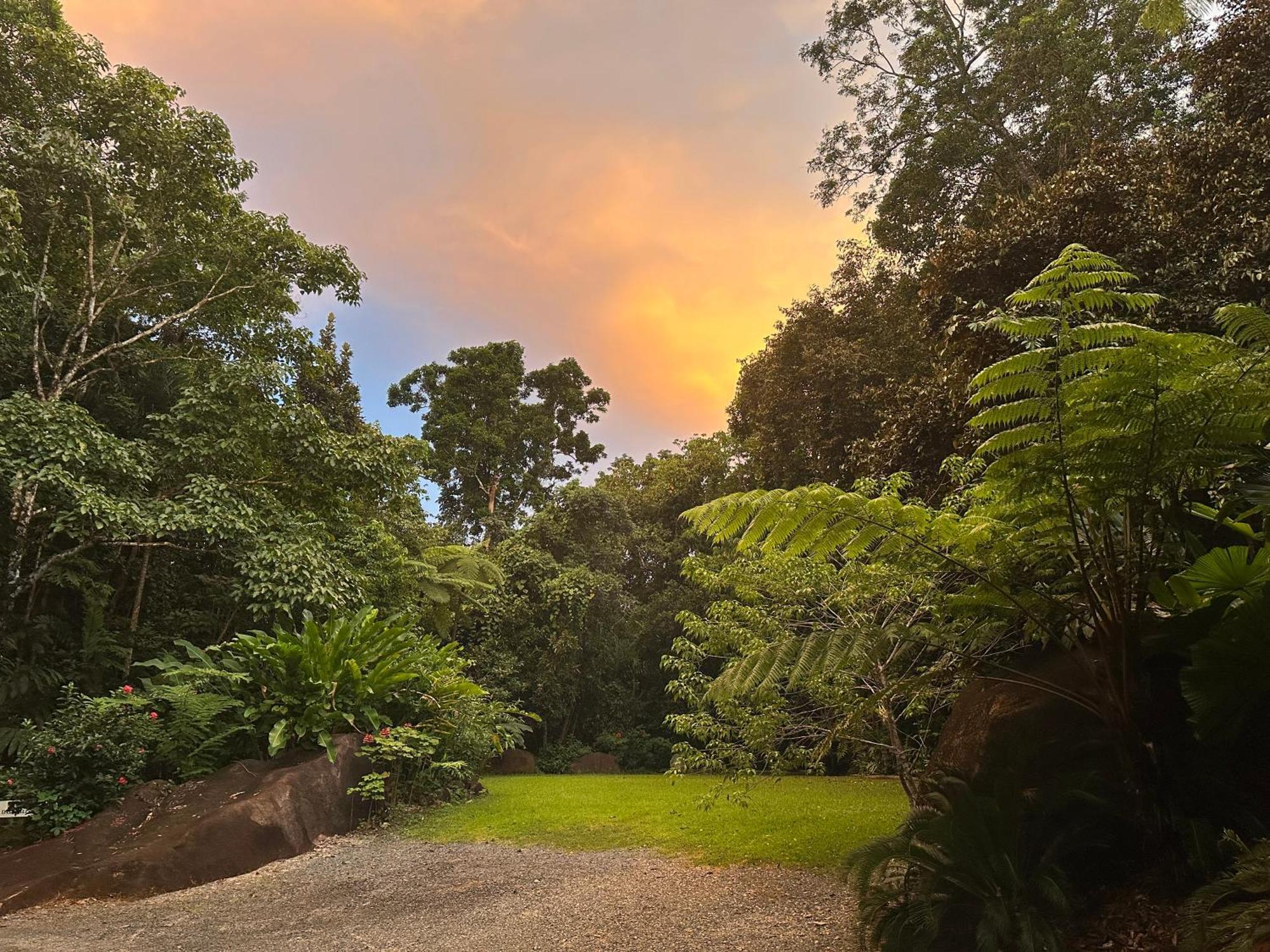 Daintree Secrets Rainforest Sanctuary Villa Diwan Exterior photo