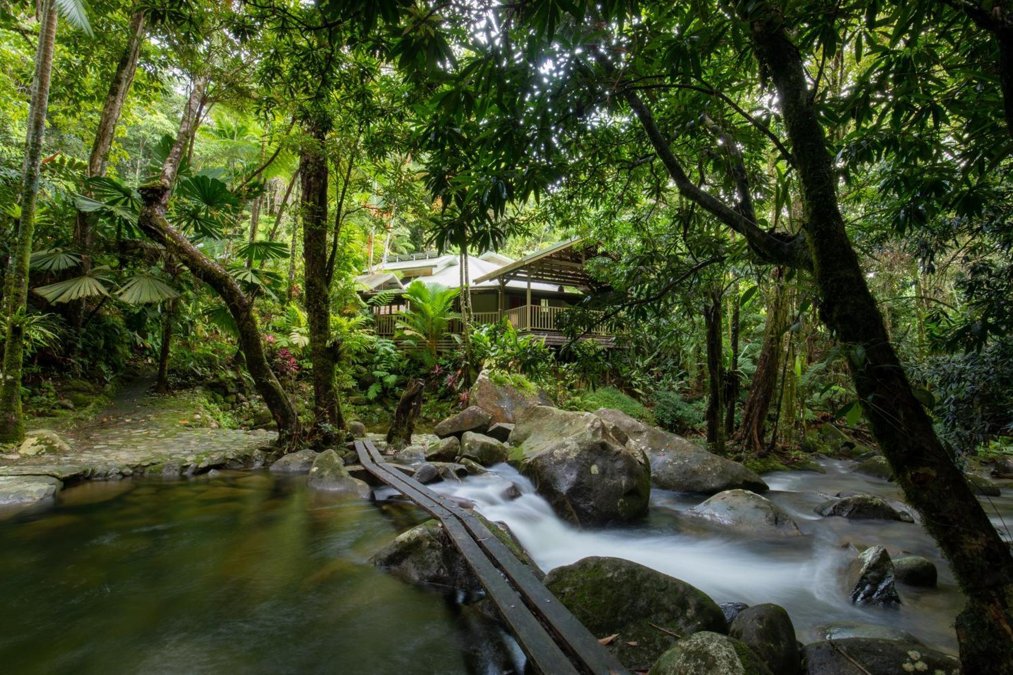 Daintree Secrets Rainforest Sanctuary Villa Diwan Exterior photo